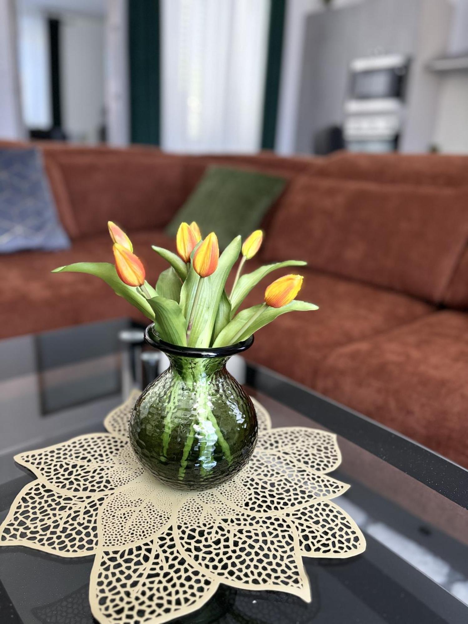 Centar 103 Apartment شيبينيك المظهر الخارجي الصورة